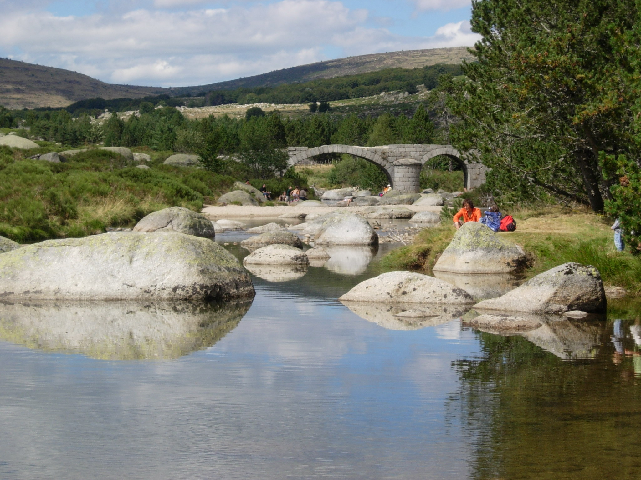 pont du tarn