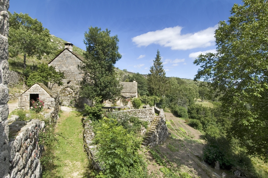 chemin bergerie