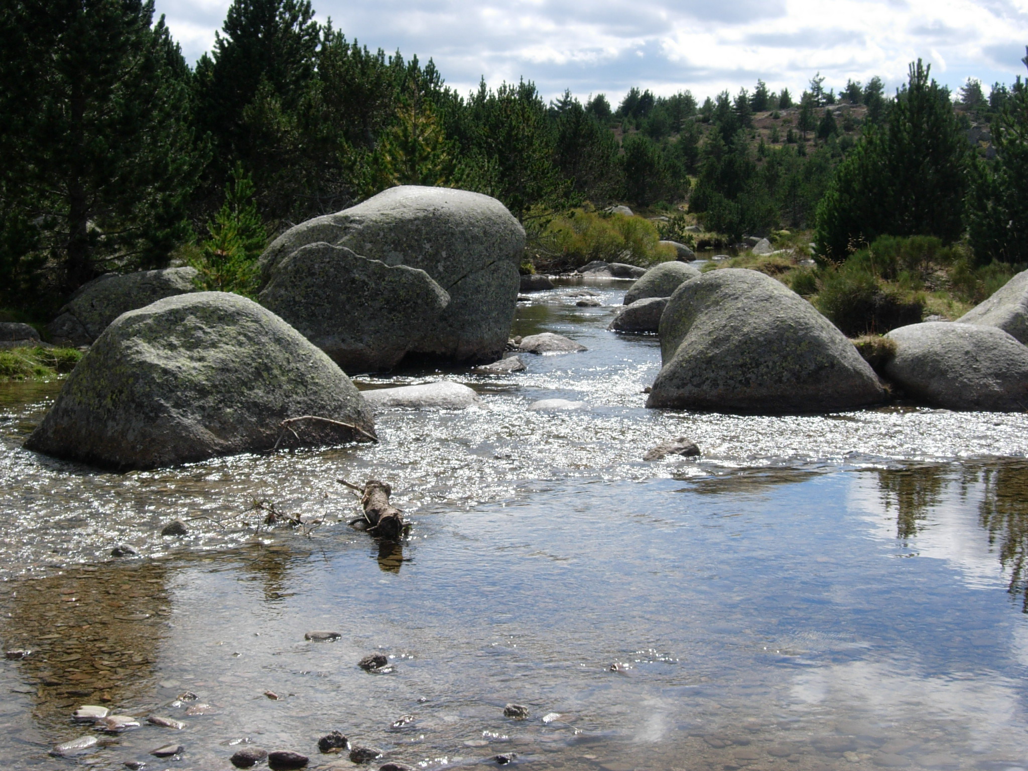 tarn